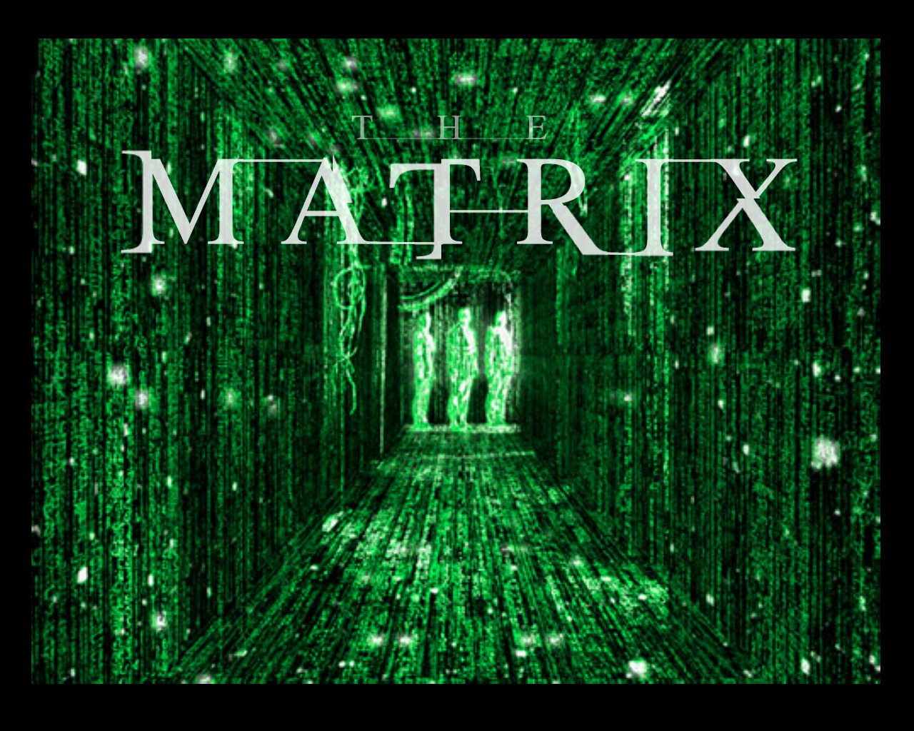 Vivimos en Matrix